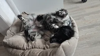 Джим, фотография