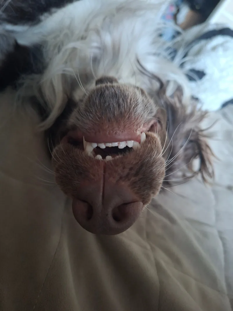 Марго, фотография