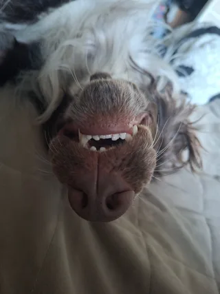 Джефф, фотография