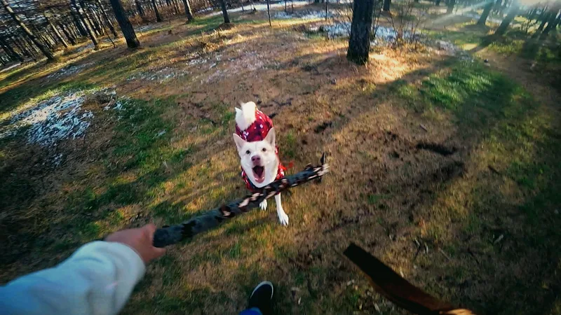 Друг, фотография