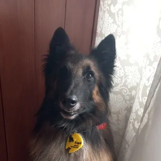 Бард, фотография