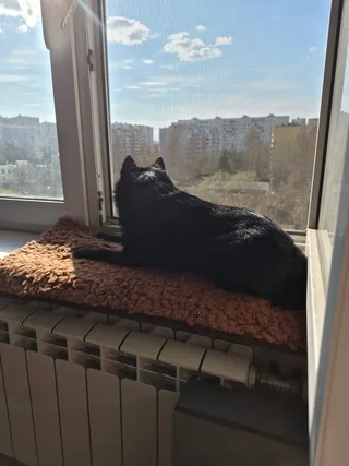 Даня, фотография