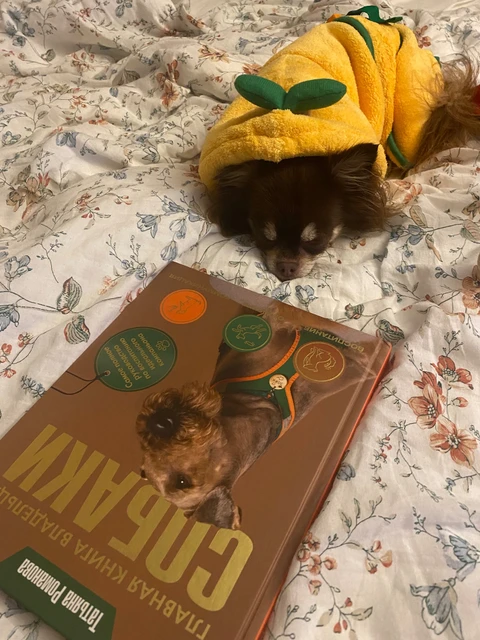 Миша🐻, фотография