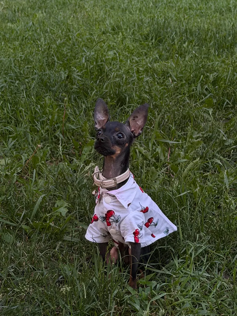 Ксения, фотография