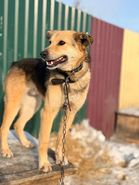Тёма, фотография