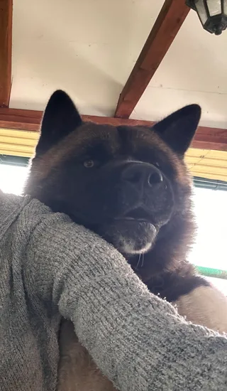 Рик, фотография