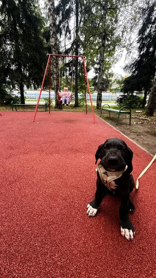 Кайф, фотография