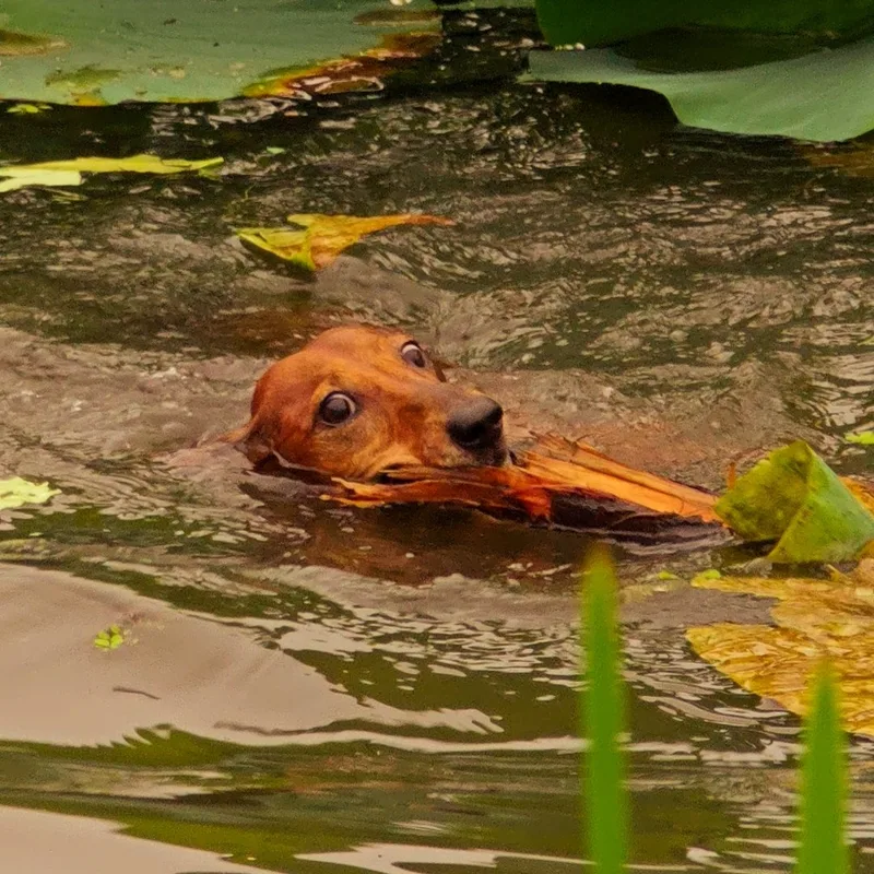 Юрий, фотография