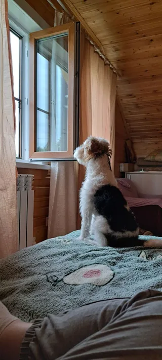 ТЕО, фотография