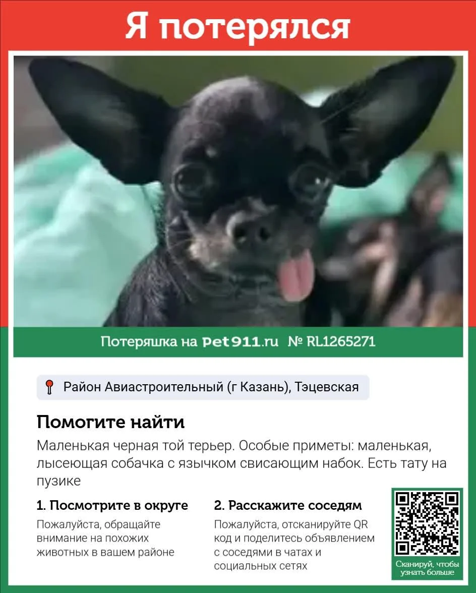 Муха, фото 2