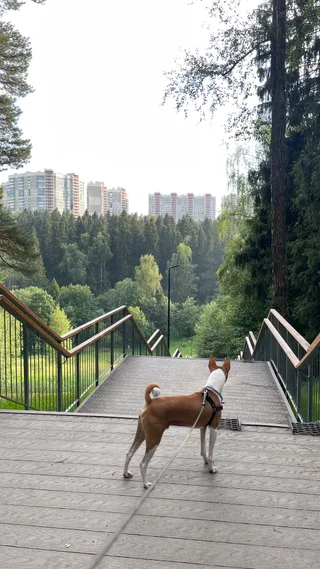 Зевс, фотография