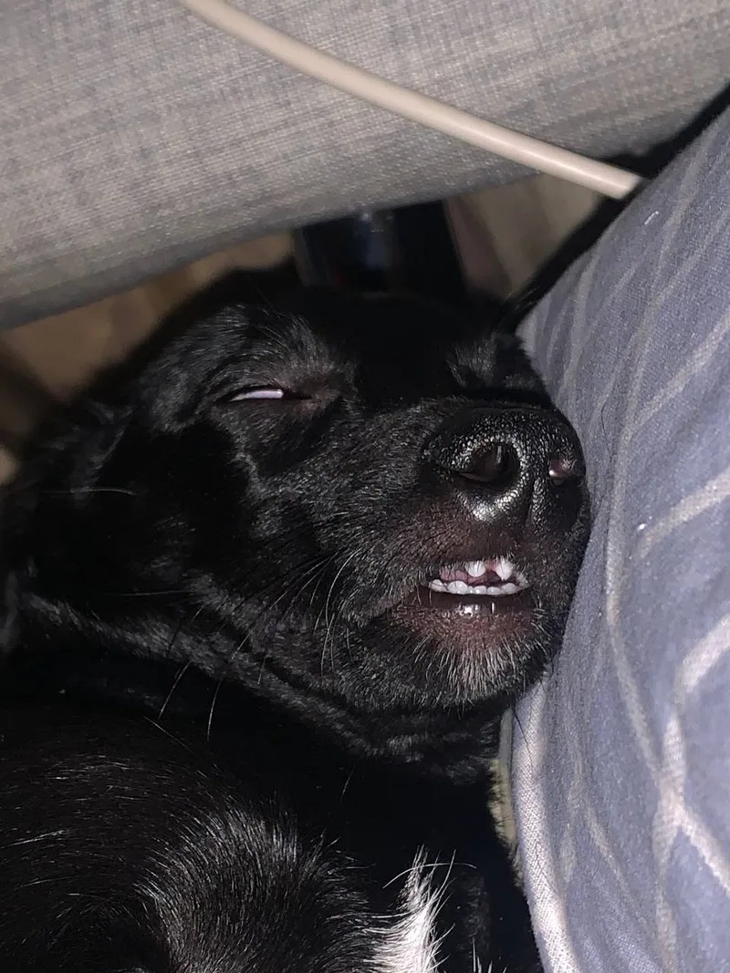 Юлия, фотография