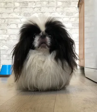 Зайчик, фотография