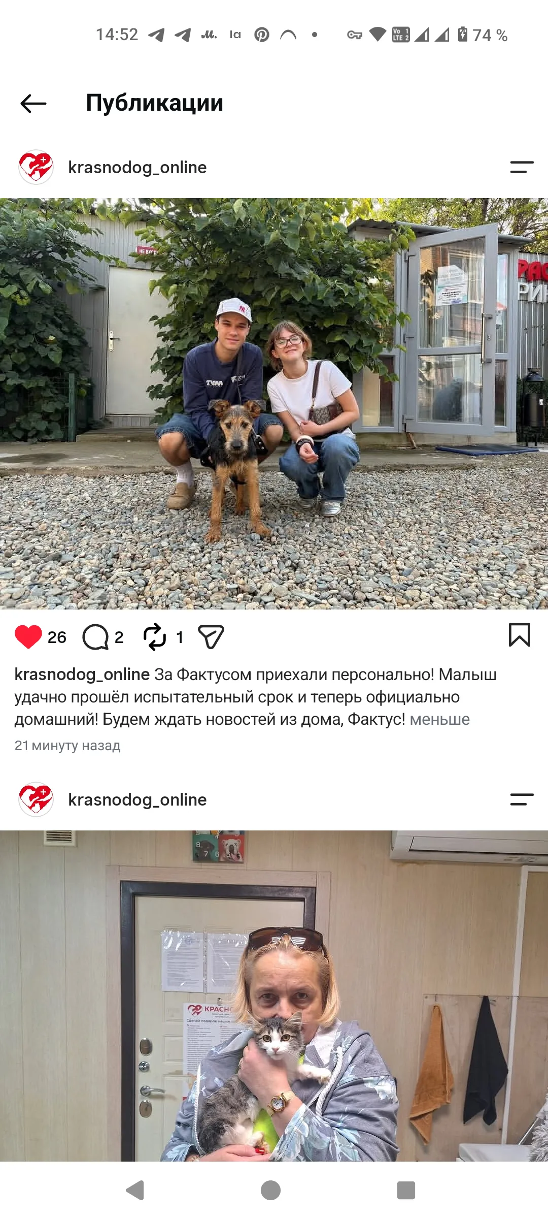 Счастливая история Шефа✨