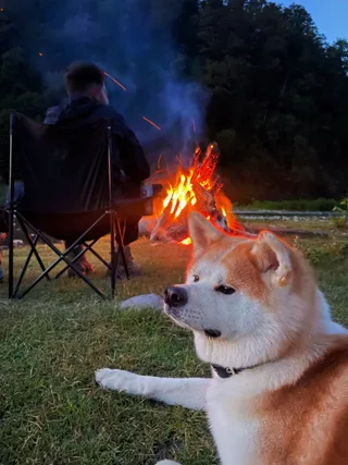 Бу, фотография