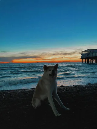 Бу, фотография