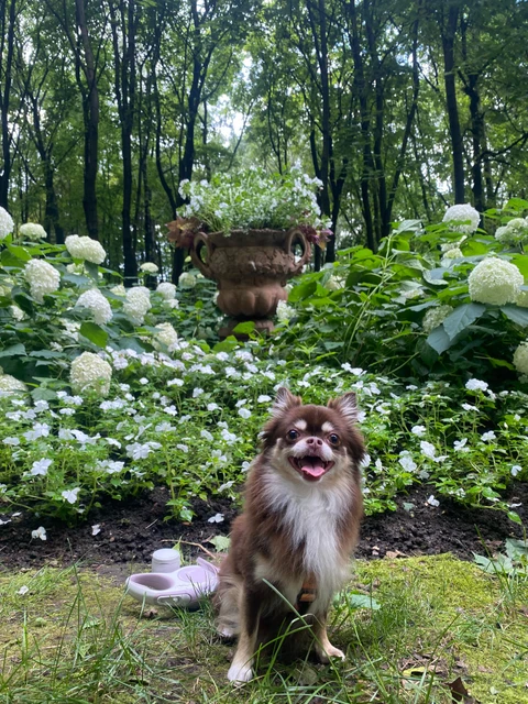 Миша🐻, фотография