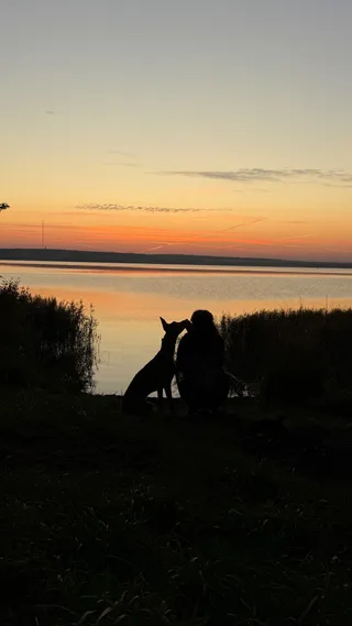 Ростер(Рос), фотография