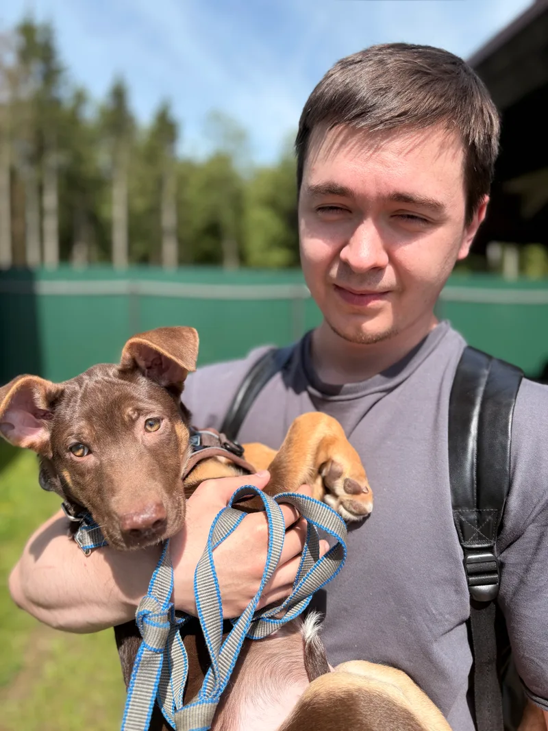 3 месяца