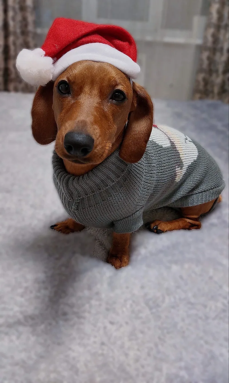 Оксана, фотография