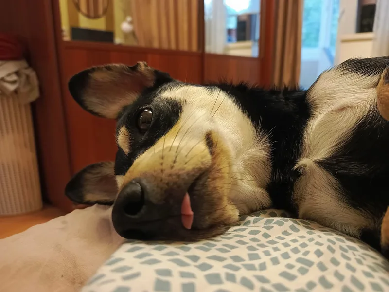 Дмитрий, фотография