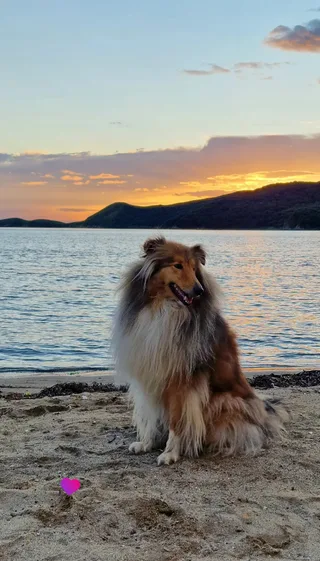 Маффин, фотография