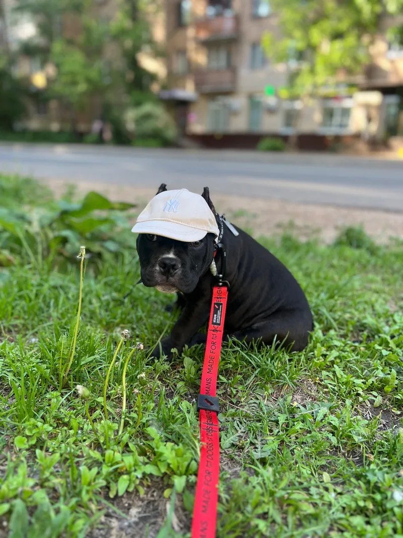 Максим, фотография