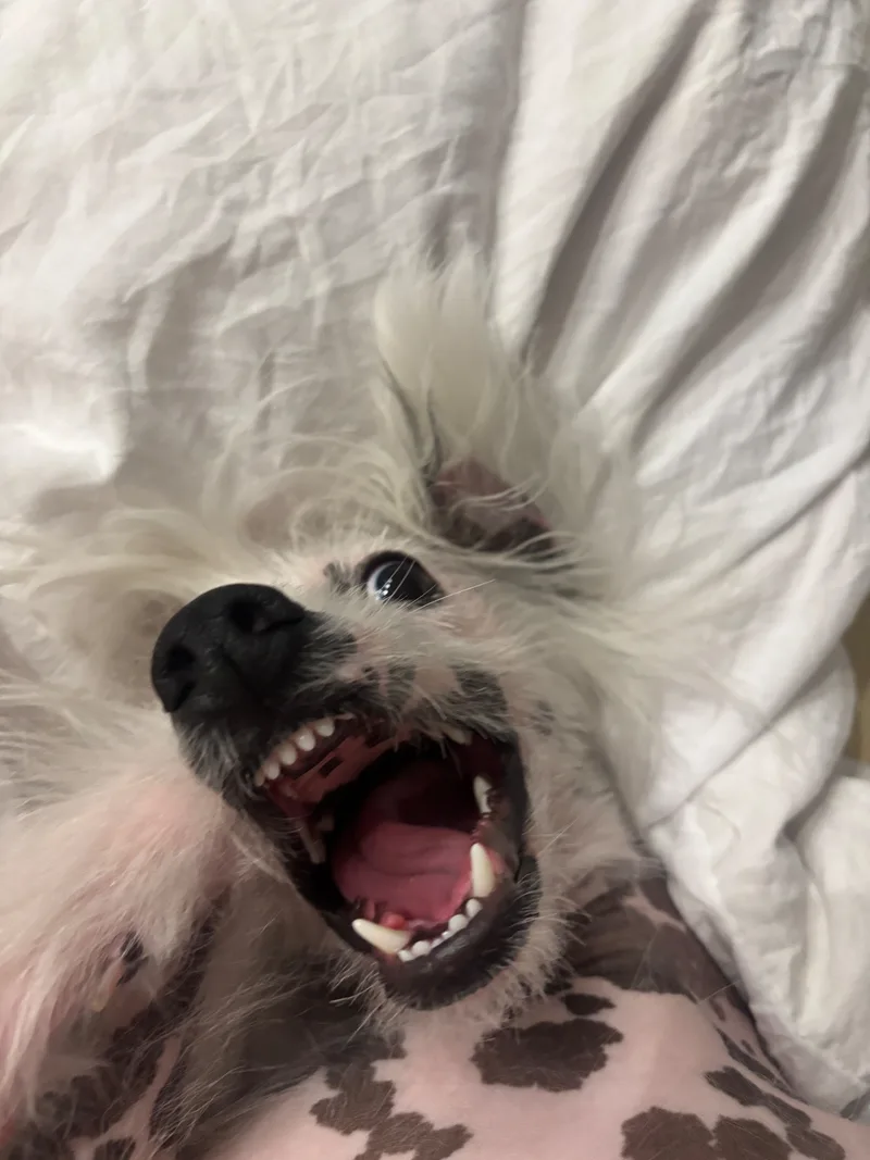 Ольга, фотография