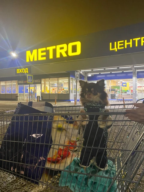 Миша🐻, фотография