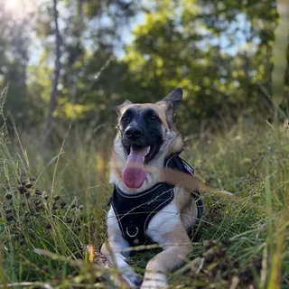Мила, фотография