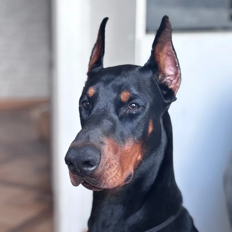 Дмитрий, фотография