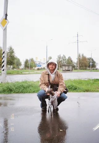 Лютик, фотография