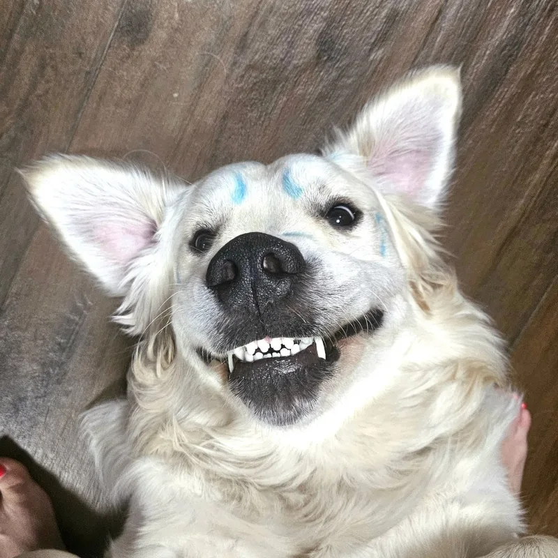 Анна, фотография