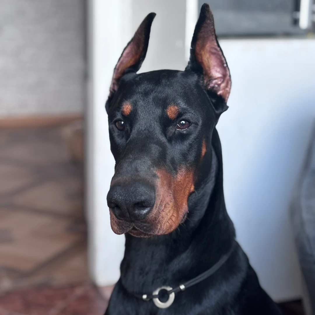 Дмитрий, фотография