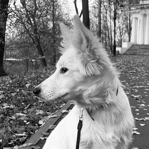 Руби 🪽, фотография
