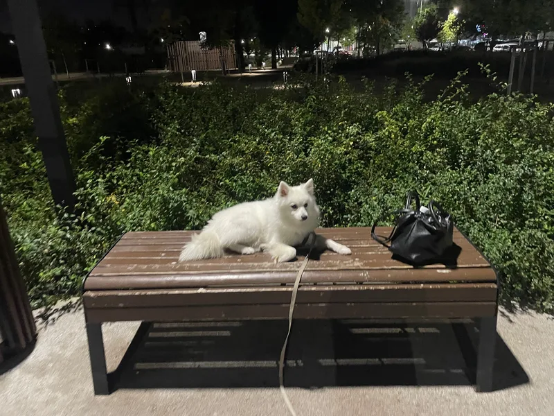Карина, фотография