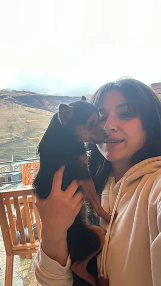 Йожик, фотография