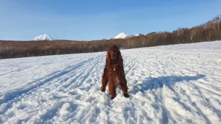 Персей, фотография