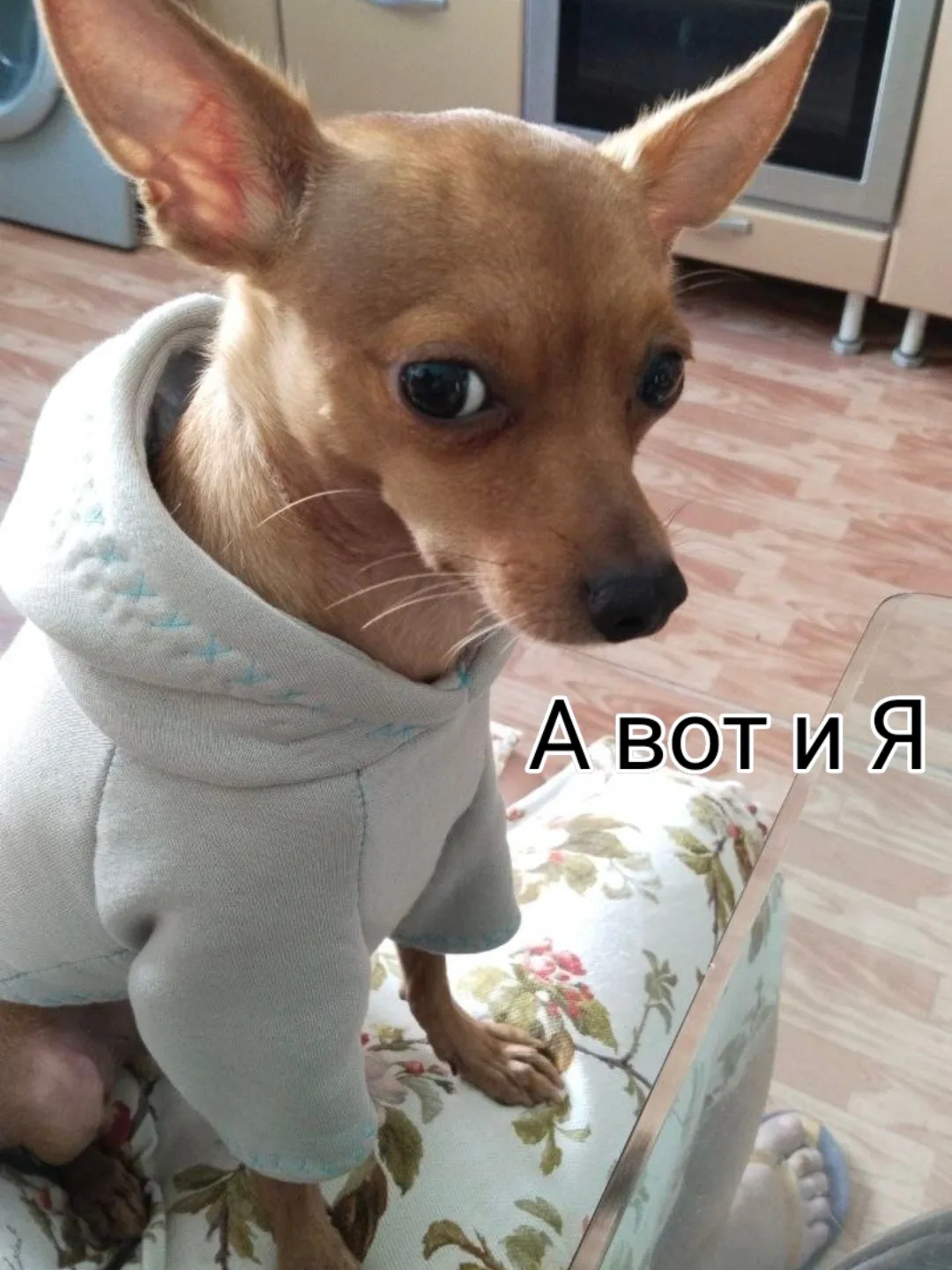 Одели выгулять обновочку свежесшитую)