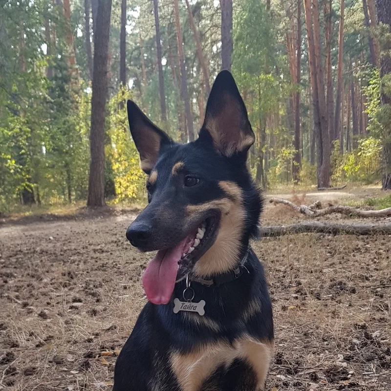 Юлия, фотография