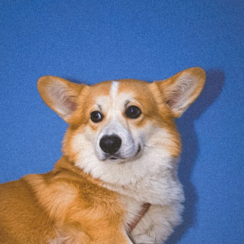 Юлия, фотография
