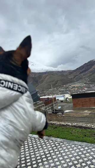 Йожик, фотография