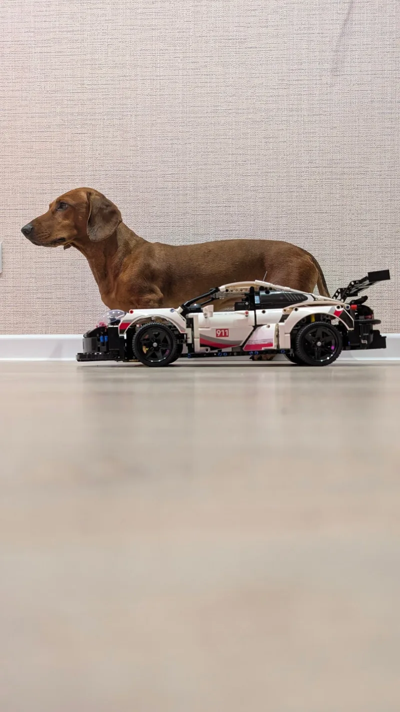 ТониПанффа, фотография