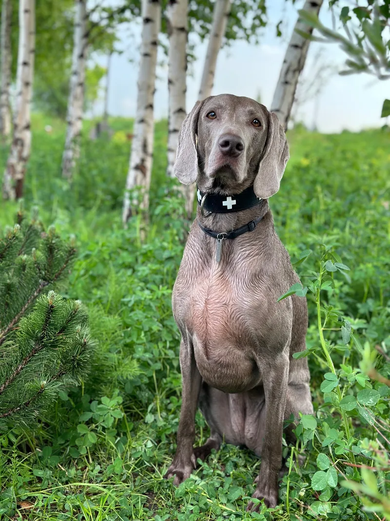Алексей, фотография