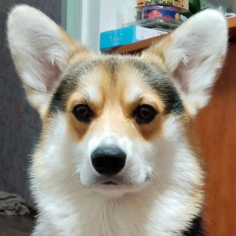 Сергей, фотография