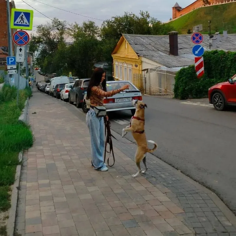Ирина, фотография