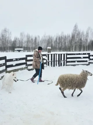 Лотта, фотография