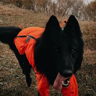 Грюня, фотография