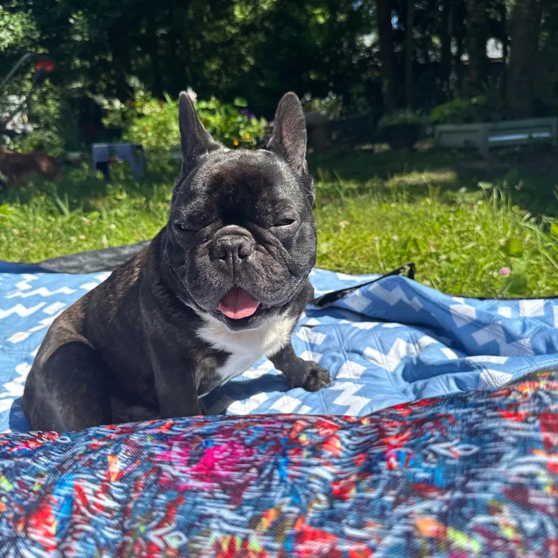 Анна, фотография