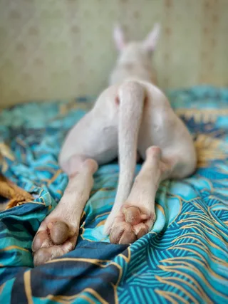 Юлиан, фотография